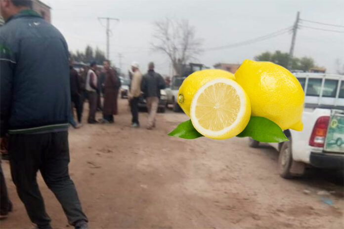 ليمون