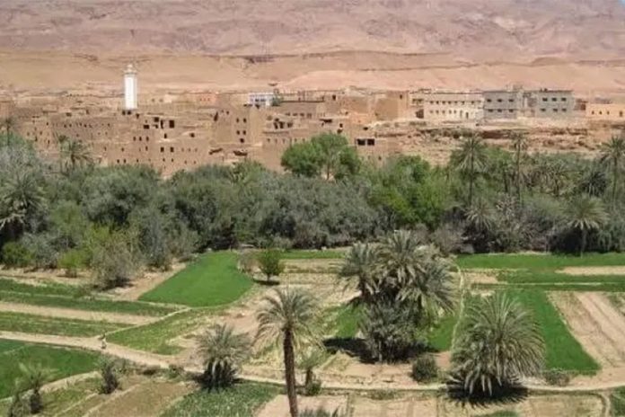 غرداية