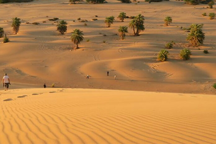 العرق الغربي الكبير