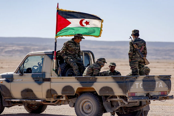الصحراء الغربية