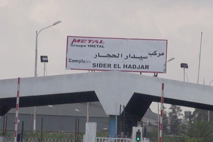 سيدار الحجار