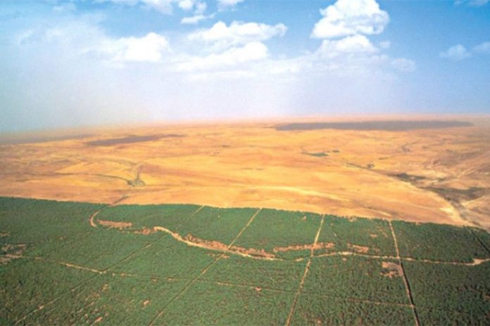 السد الأخضر