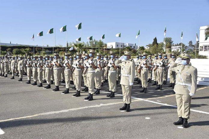 الضباط