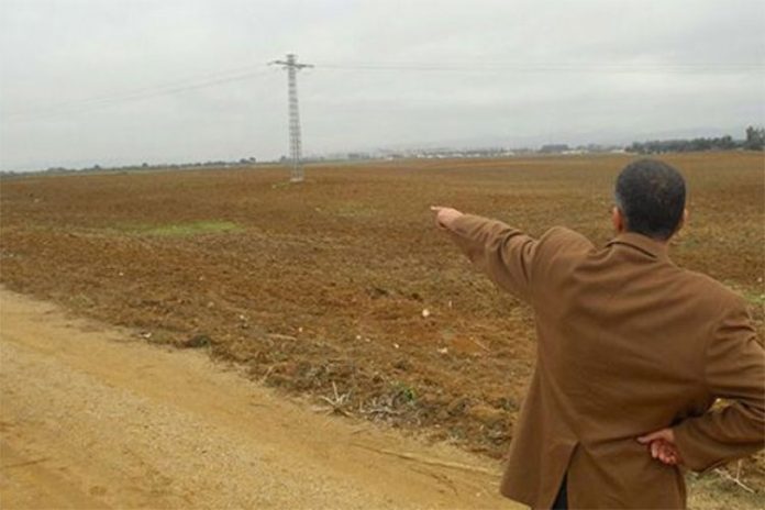 العقار الفلاحي