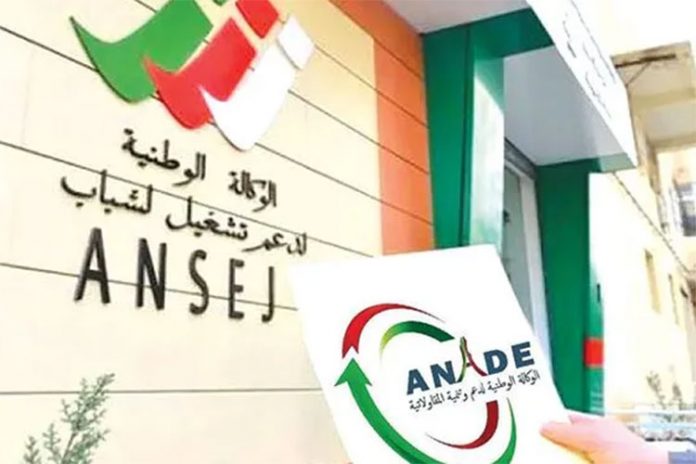 المؤسسات المصغرة