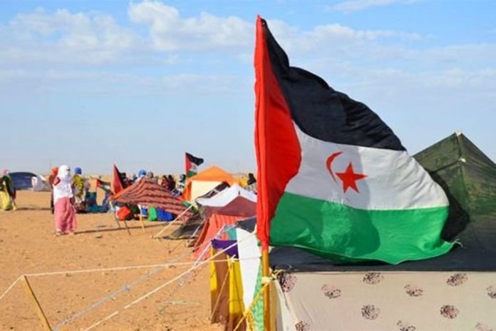 الجزائر