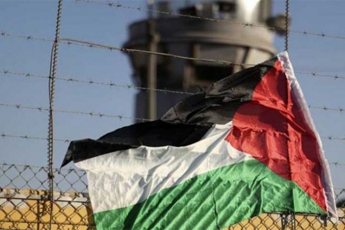 فلسطينية
