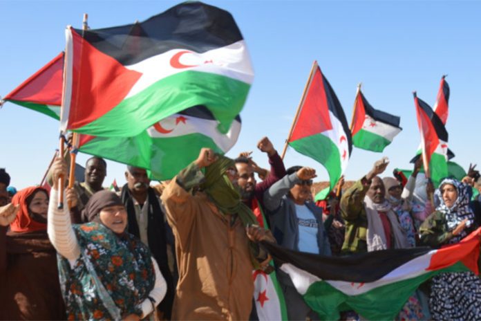 الصحراء الغربية
