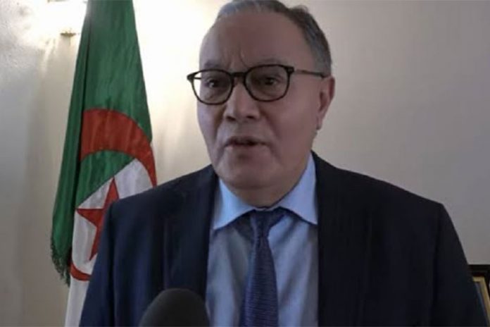 عمار بلاني