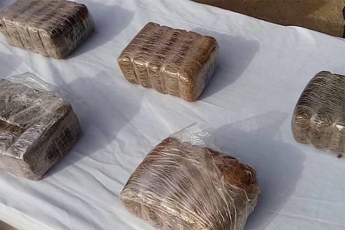 المدية