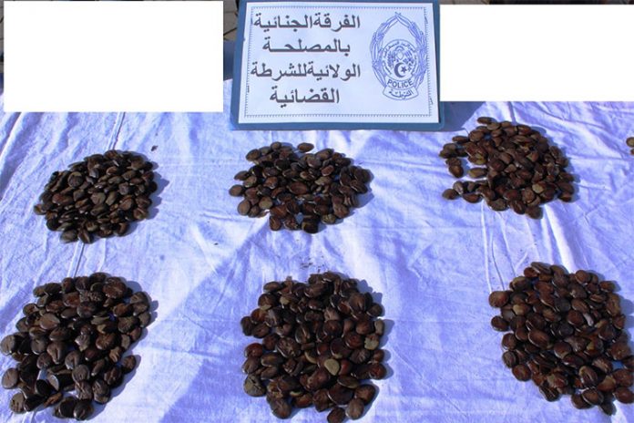 وهران