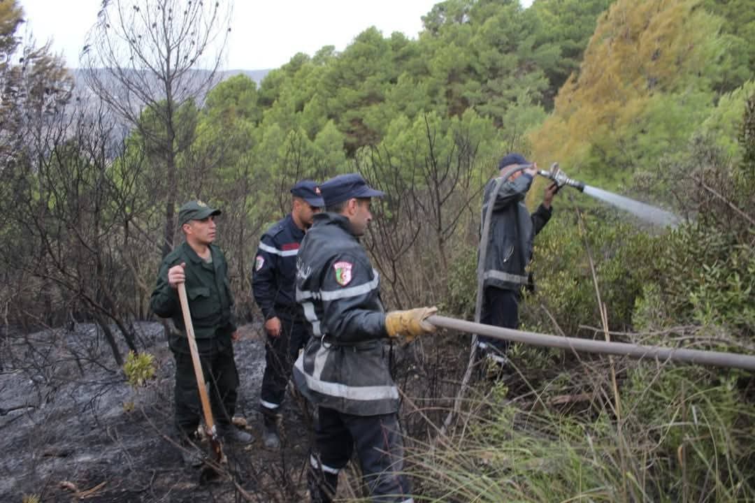 FB_IMG_1763107456807