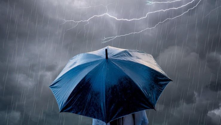 d_6341795577d3993354943cda26295ece