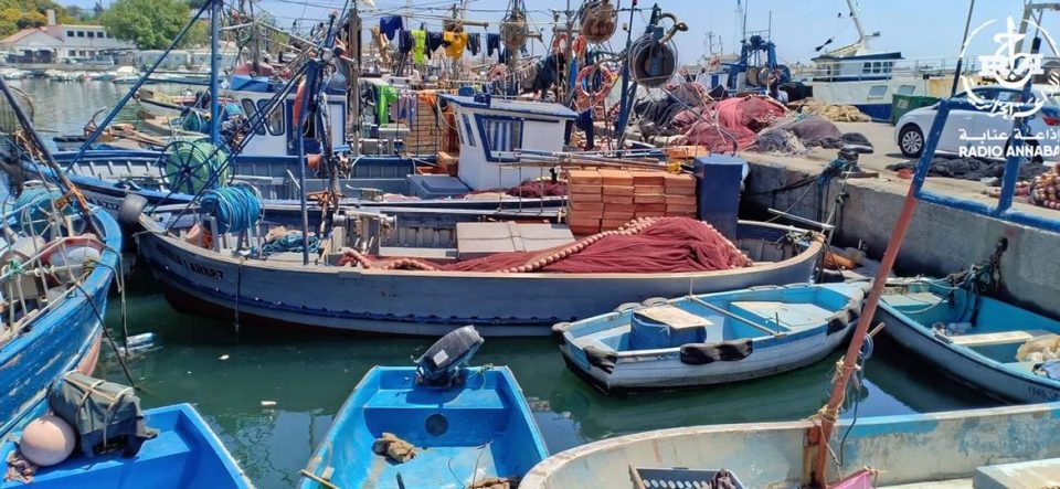 ميناء-الصيد-عنابة-960x443