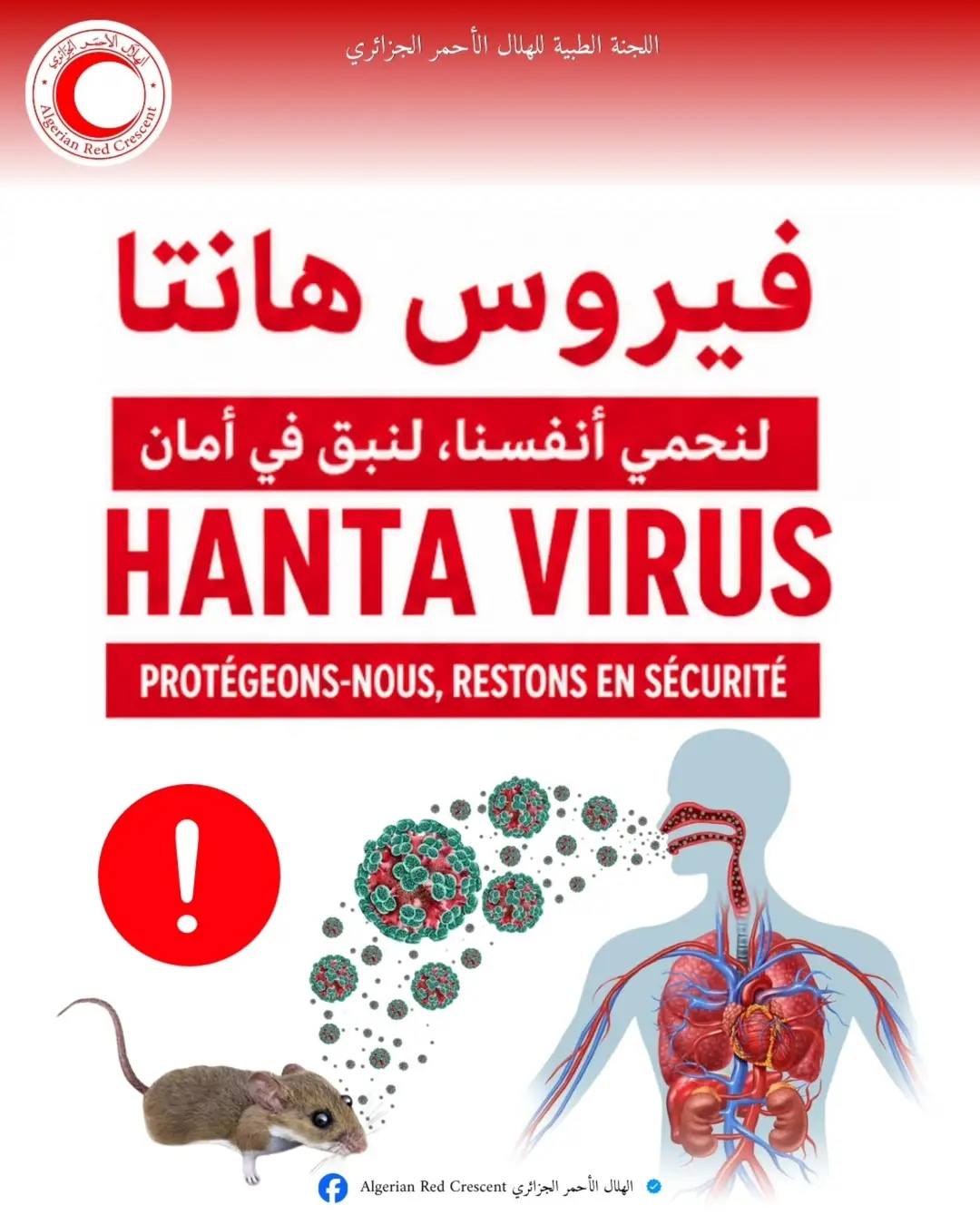 الهلال الأحمر الجزائري يدعو إلى الوقاية الصحية